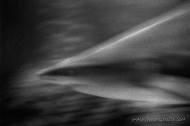 Zoo - série noir et blanc - Requin