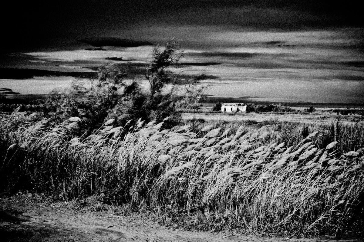 Camargue
